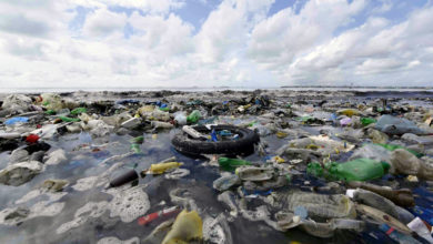 Остров мусора в Тихом океане. Фото мусора в океане.