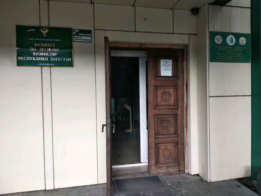 Комитет по лесному хозяйству Республики Дагестан