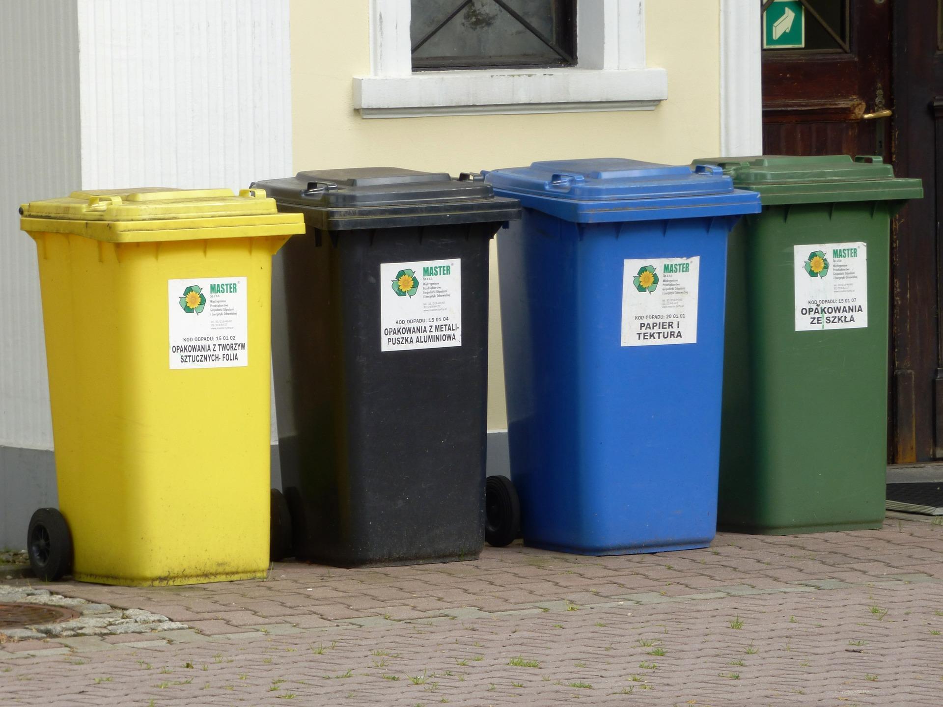 Советы по сортировке отходов: как утилизировать более эффективно