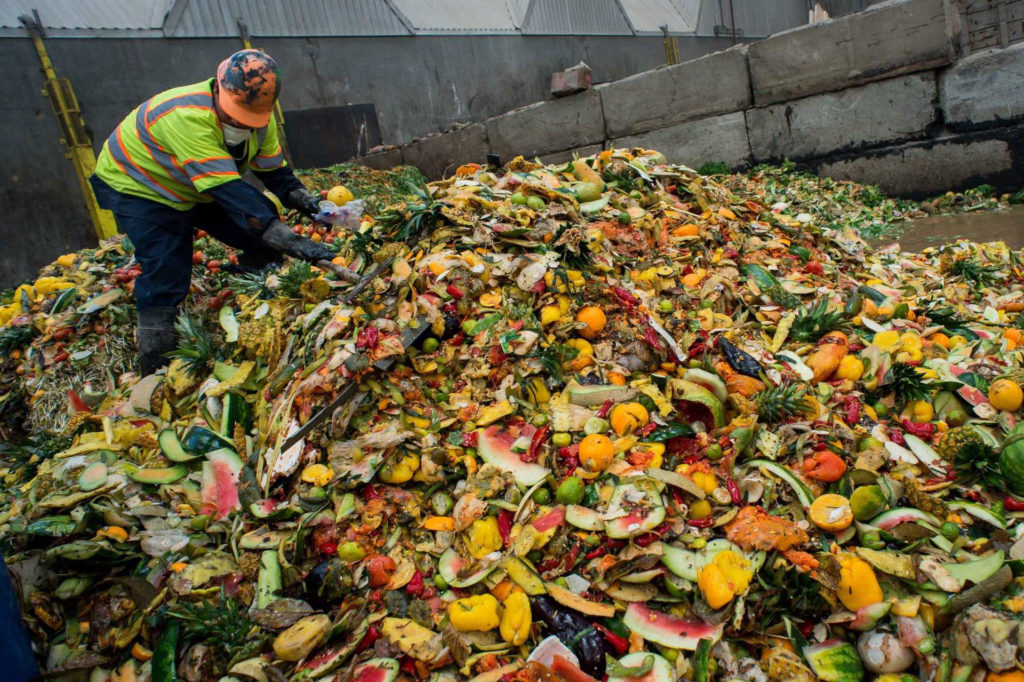 Органические отходы – сложная проблема