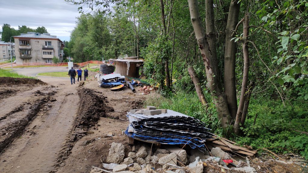 Экологические проблемы Ленинградской области и Санкт-Петербурга