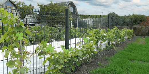 Отзывы о заборах компании F24 F24 отзывы о заборах компании положительные и отрицательные