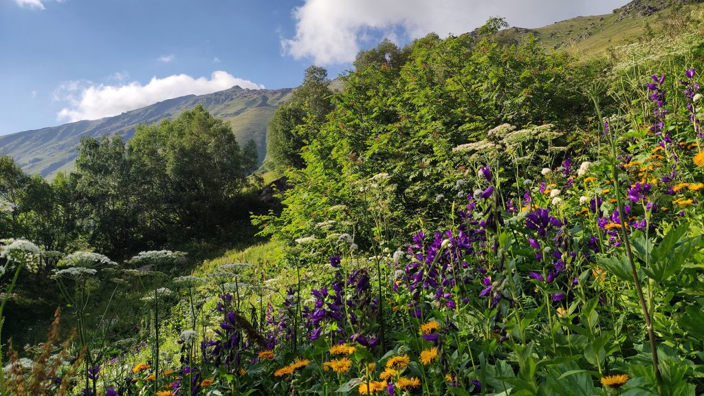 Государственный экологический надзор: федеральный, региональный