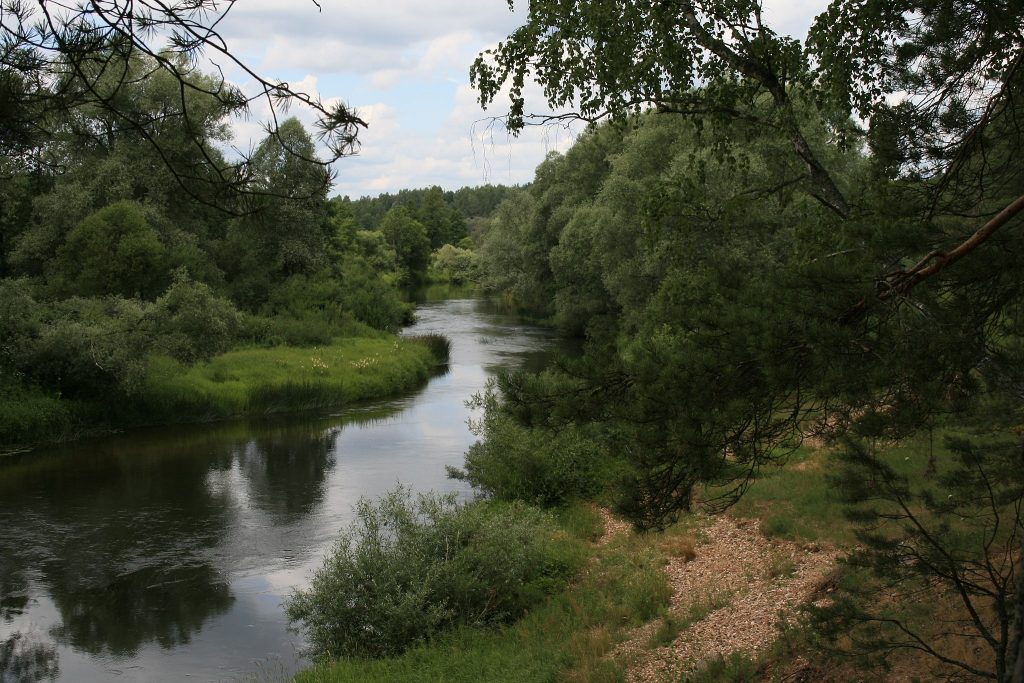 Экологический надзор Калужской области