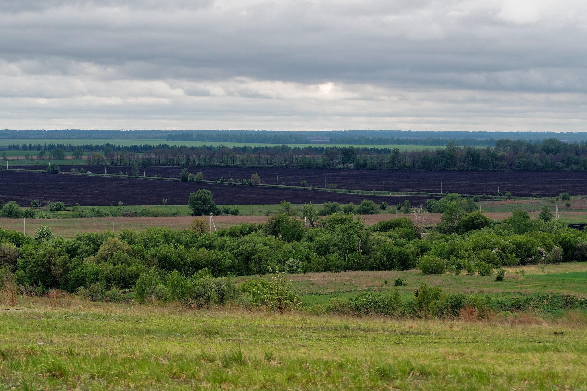 Экологический надзор Курской области