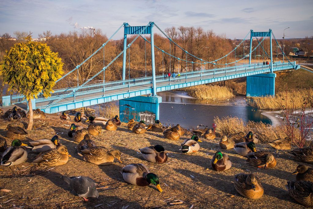 Экологический надзор Тамбовской области Экологический надзор Тамбовской области