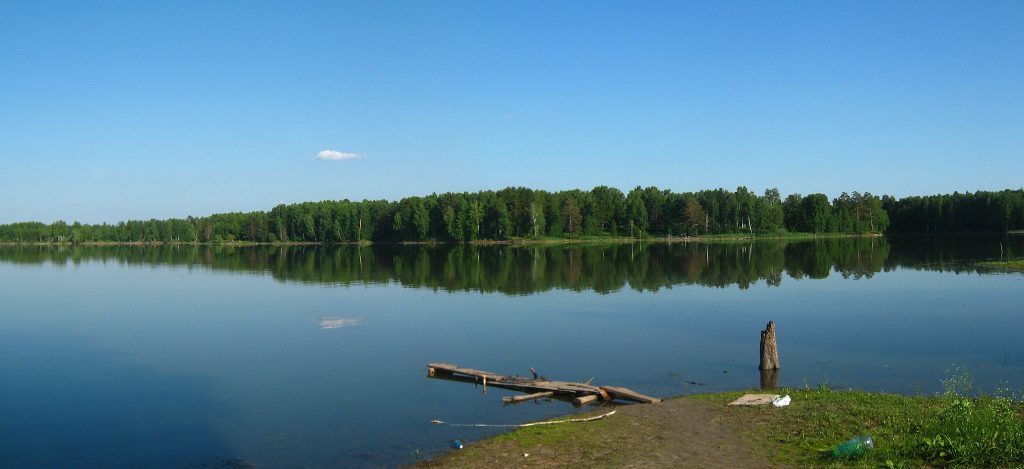 Экологический надзор Томской области