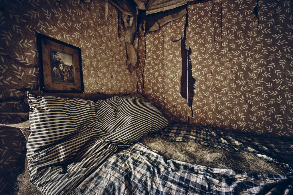 Как избавиться от постельных клопов в квартире навсегда?