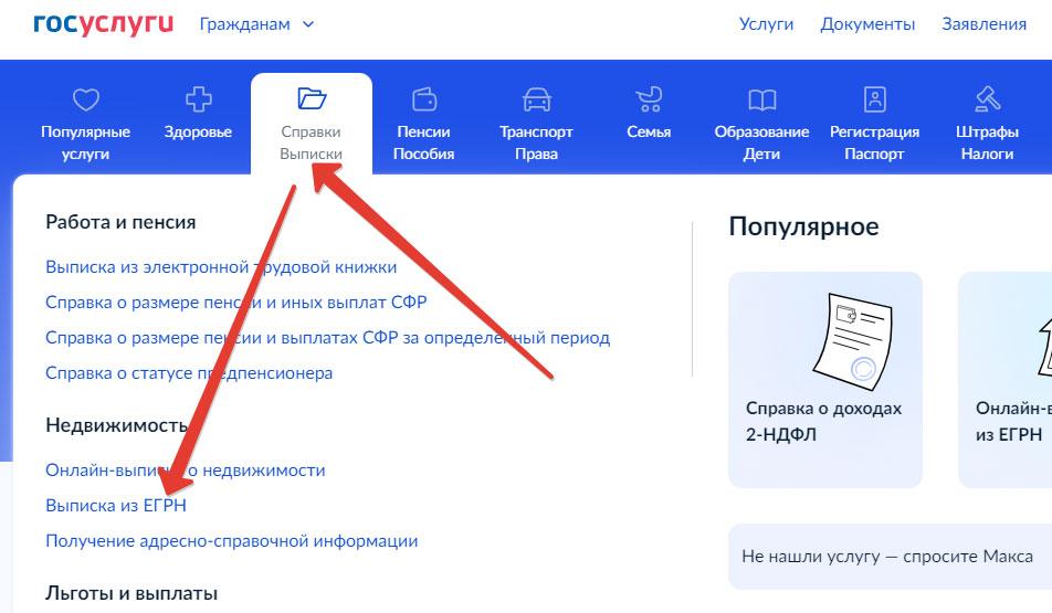 Как заказать расширенную выписку из ЕГРН - Поиск нужной услуги