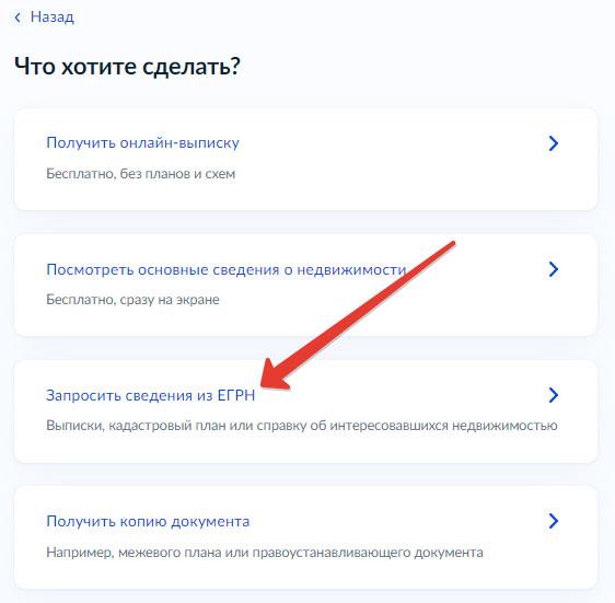 Как заказать расширенную выписку из ЕГРН - Выбор необходимой информации