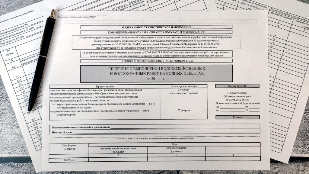 Как заполнять отчет 2-ОС: алгоритм и рекомендации