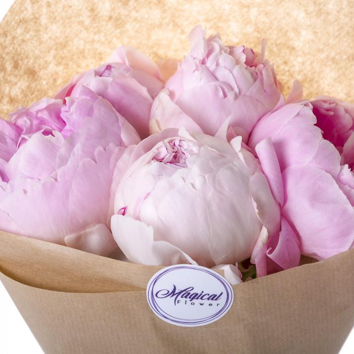 Когда начинают цвести пионы