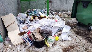 Норматив утилизации для экологического сбора: отчет о выполнении