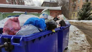 Новая инициатива по утилизации мусора в России сэкономит деньги граждан