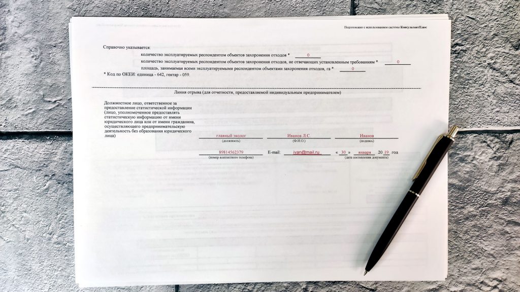 Образец отчета по форме 2-ТП Отходы