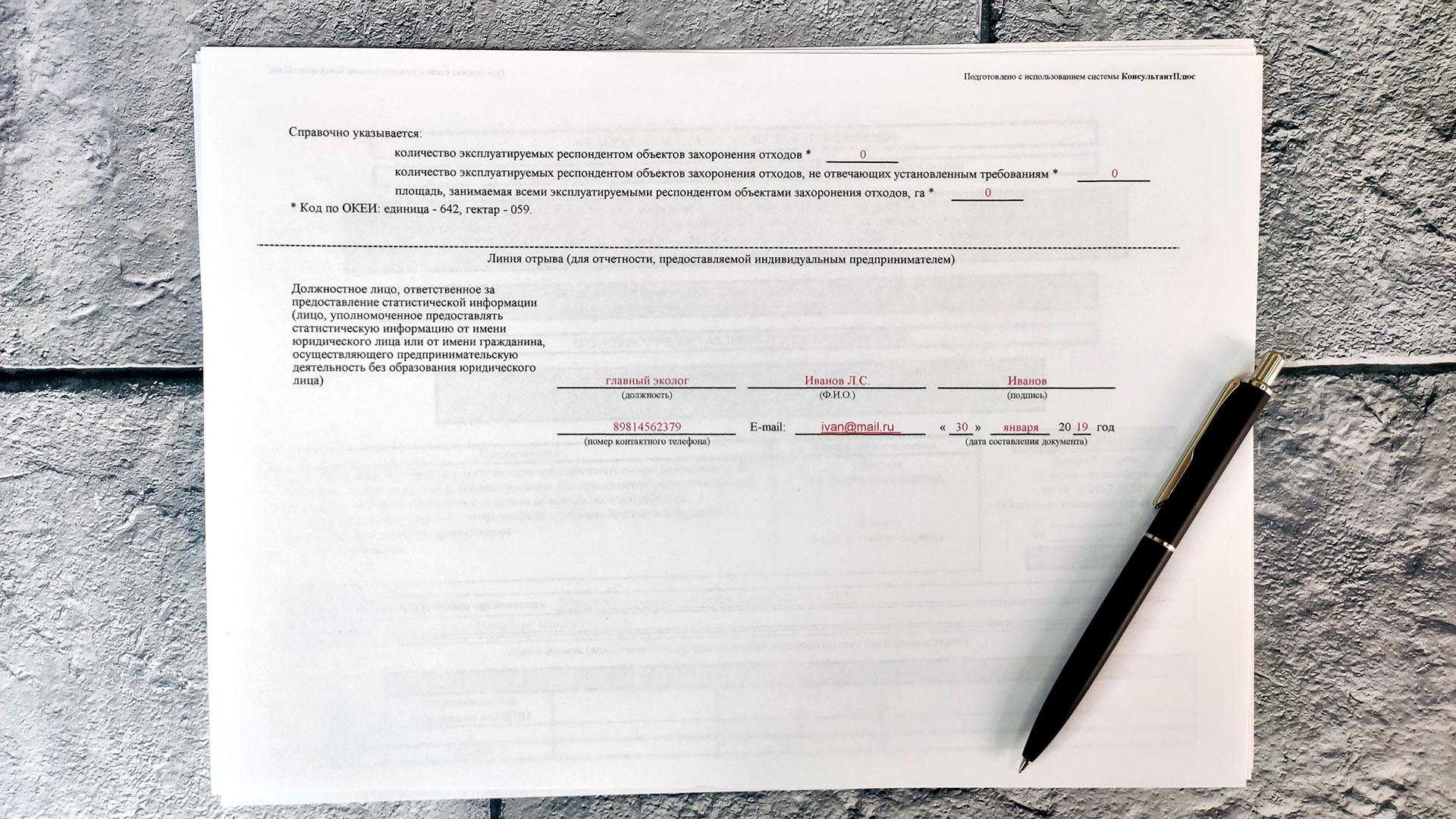 Протокол стенограмма образец