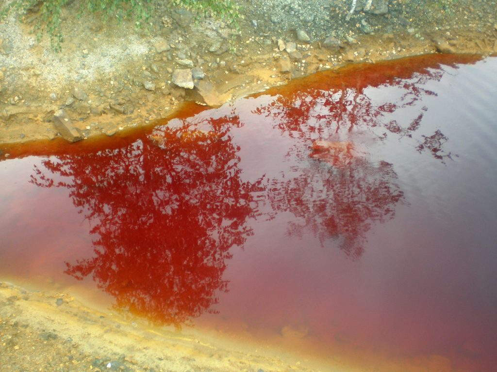 Общая глобальная проблема экологии Урала