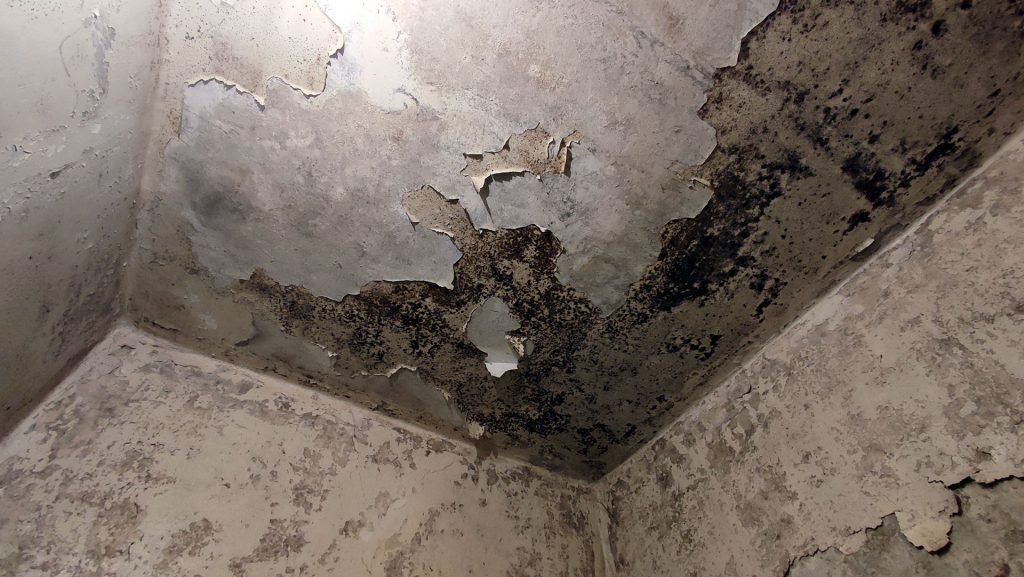 Последствия биологического загрязнения