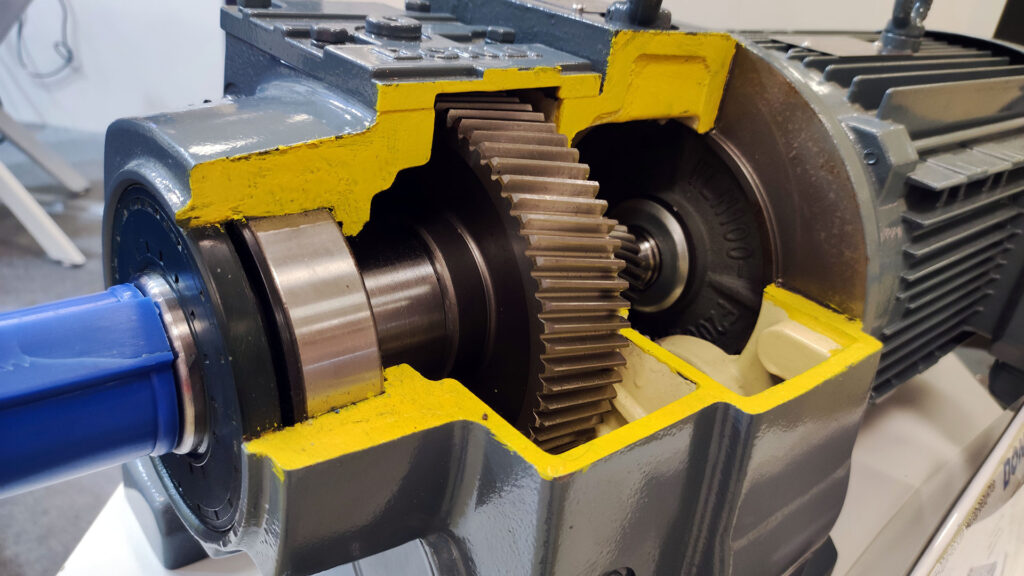 Разрезной образец мотор-редуктора