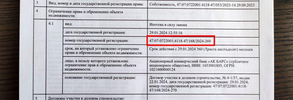 Так выглядит номер ограничения права в выписке из ЕГРН