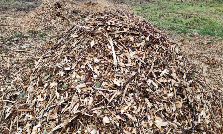 Переработка и утилизация порубочных остатков, деревьев, веток