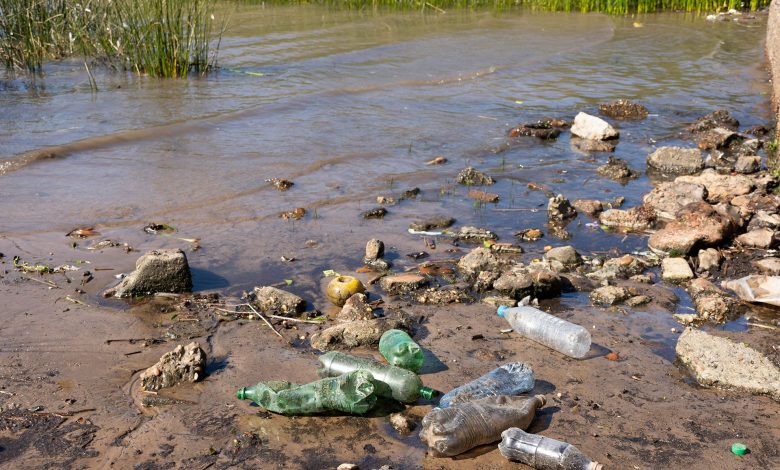 Загрязнение водоемов: источники, последствия и пути решения