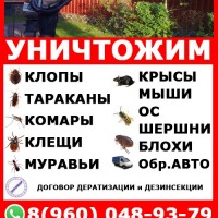 Фото из компании «Солбимед»