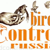 Фото из компании «BirdControl»