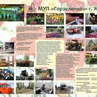 Фото из компании «Горзеленхоз»