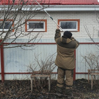 Фото из компании «Студия Фазенда»