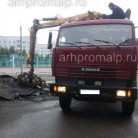 Фото из Компании «Архпромальп»